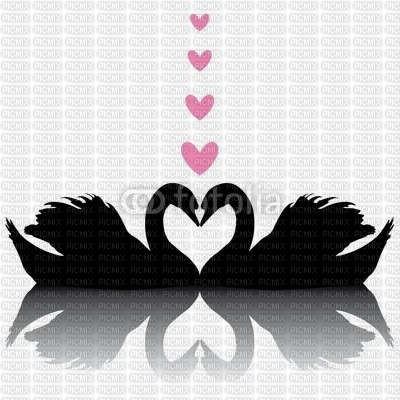 ROXY SWANS LOVE - PNG gratuit