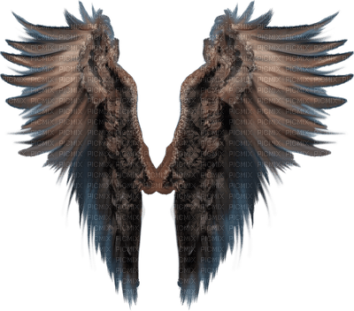 Wings - png gratuito