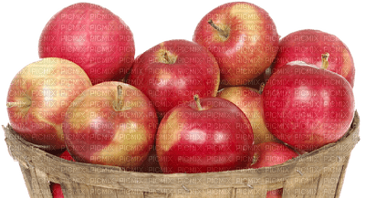Kaz_Creations Fruit Apples Apple - png ฟรี