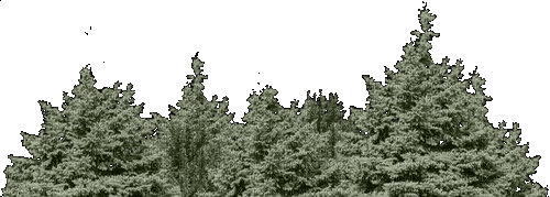 Деревья - Zdarma animovaný GIF