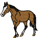 aze cheval marron Brown - Bezmaksas animēts GIF