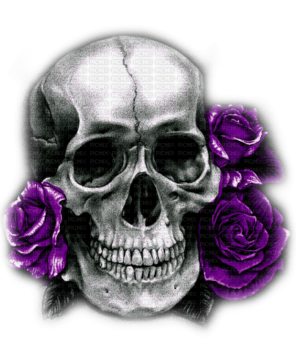 Skull.Roses.Black.White.Purple - By KittyKatLuv65 - darmowe png