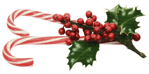 gala Christmas decoration - 免费PNG
