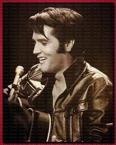 Elvis - zadarmo png