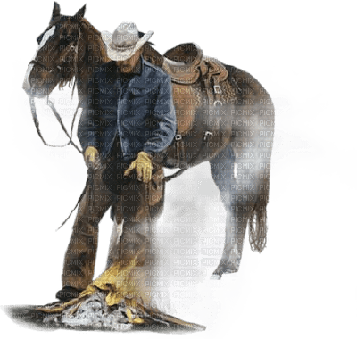 cowboy bp - kostenlos png