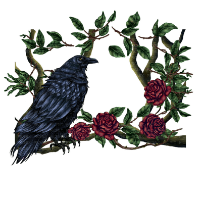 Ravens - Free PNG