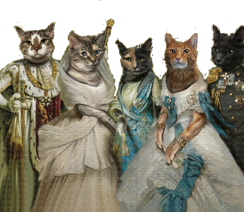 Royal Vinage Cats - GIF animé gratuit
