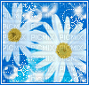 fleur bleu - GIF animado grátis