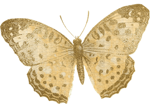 Vintage Butterfly - PNG gratuit