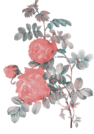 soave deco flowers branch animated rose vintage - 無料のアニメーション GIF