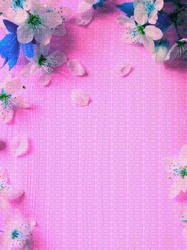 Pink Wallpaper - By StormGalaxy05 - Free PNG