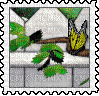 Petz Butterfly Stamp - 無料png