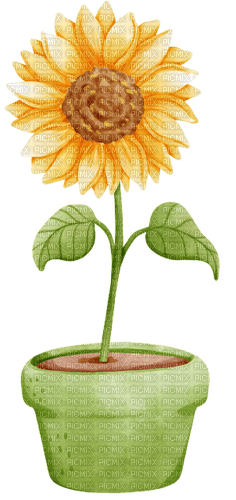 kikkapink sunflower vase - zdarma png