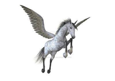 unicornio - ilmainen png