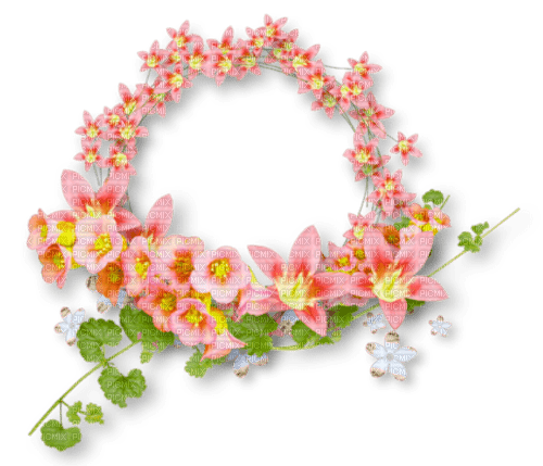 Circle.Frame.Cluster.Spring.Pink.Yellow - PNG gratuit