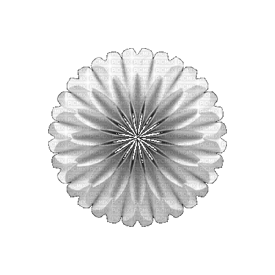 ani-flash-vit blomma-deco - Gratis geanimeerde GIF