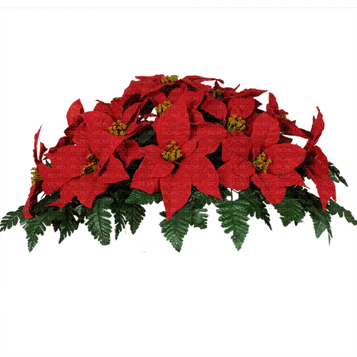✶ Christmas Flower {by Merishy} ✶ - gratis png