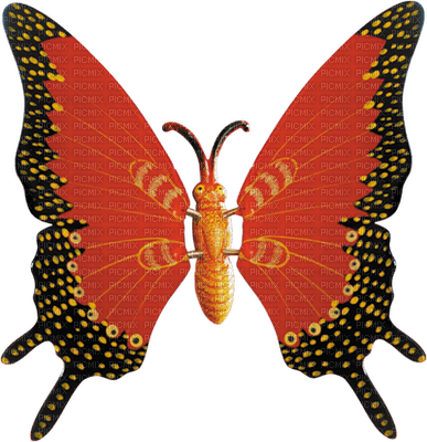 Kaz_Creations Deco Butterflies Butterfly Colours - ilmainen png
