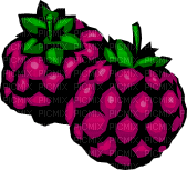 fruit - Безплатен анимиран GIF