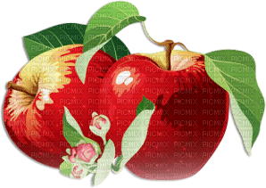 soave deco fruit apple red green - 免费PNG
