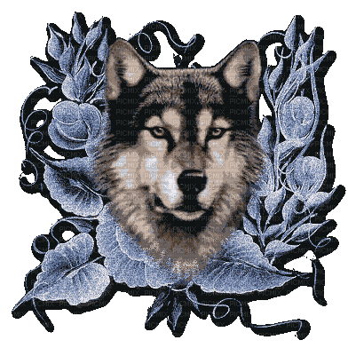 wolf - 無料のアニメーション GIF
