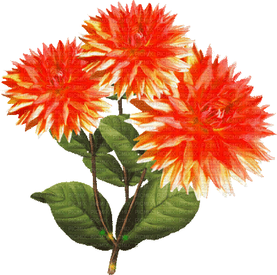 3 szál virág - Nemokamas animacinis gif