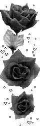 Emo goth roses - GIF animado grátis