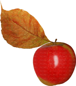 red apple Bb2 - PNG gratuit