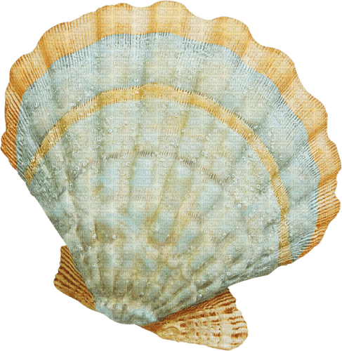 oyster Bb2 - δωρεάν png