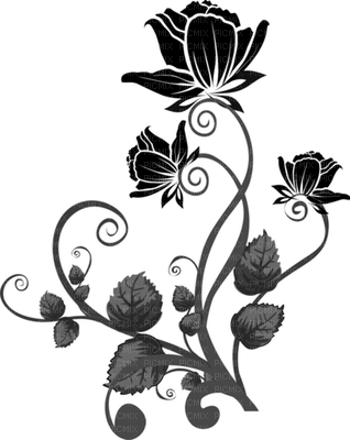 rose noire - PNG gratuit