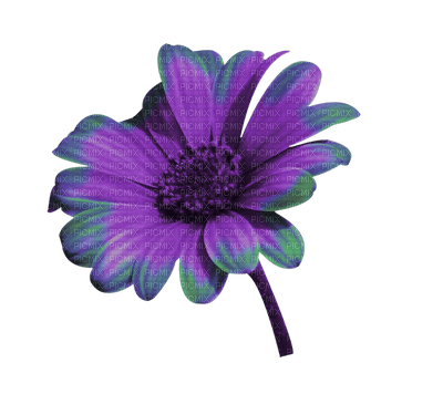 Kaz_Creations Deco Flowers Flower Colours - 無料png