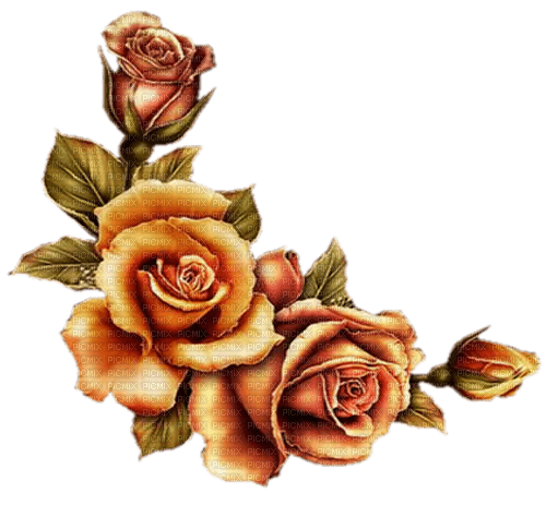 vintage roses - nemokama png