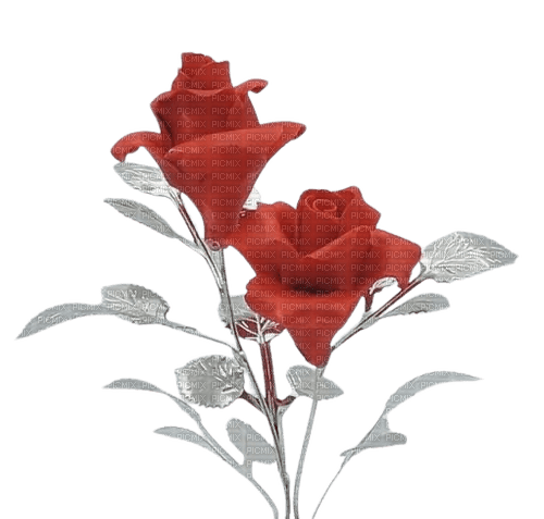 Rosa rossa in argento - png gratis