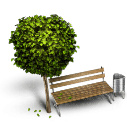 tree,chair, bench - zdarma png