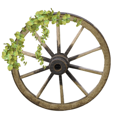 roue - Free PNG