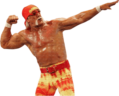 Kaz_Creations  Man Homme Wrestlers  Hulk Hogan - darmowe png