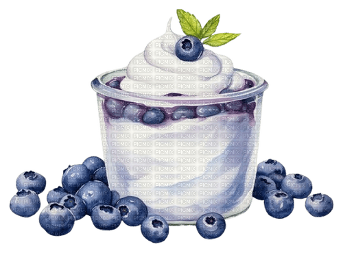 blueberry yogurt Bb2 - nemokama png