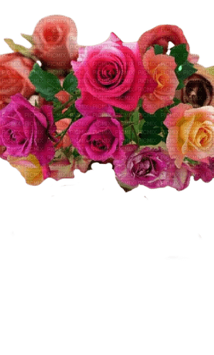 fascia con rose - 無料png