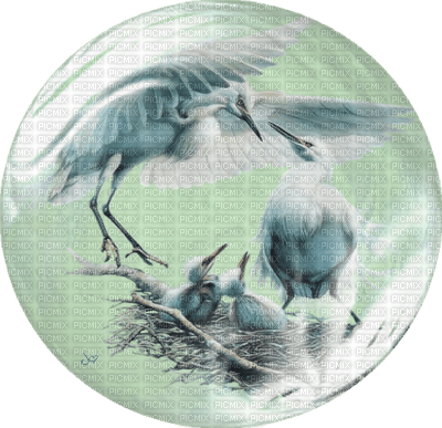 crane birds bp - kostenlos png