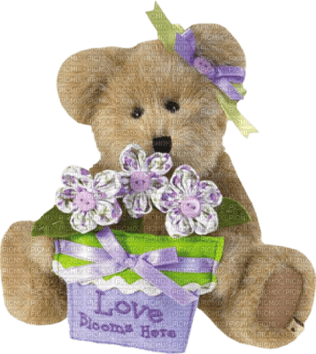 Teddy bear - darmowe png