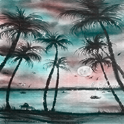 soave background animated summer tropical sea palm - GIF animate gratis