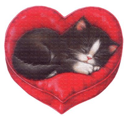 Kaz_Creations Deco Valentine Heart Love  Cat Kitten Cats - Free PNG