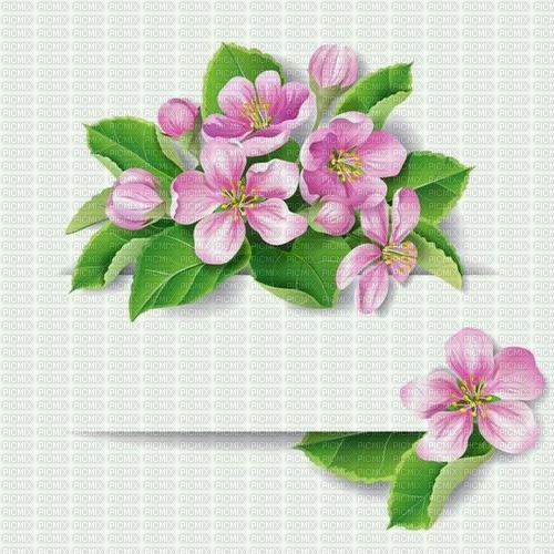 Background Spring Blossom - nemokama png