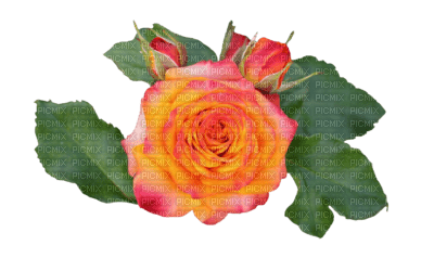 fleur - PNG gratuit