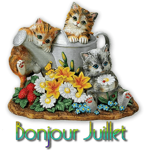 BONJOUR JUILLET - Free PNG