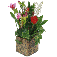 Kaz_Creations Deco Flowers Flower Vase Plant Basket   Colours - Animovaný GIF zadarmo