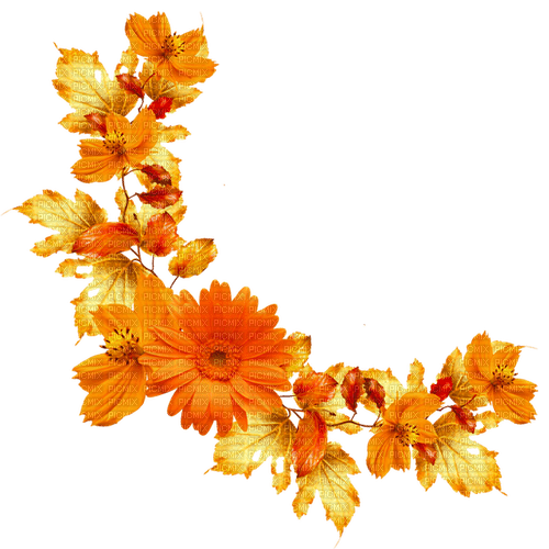 Leaves.Flowers.Gold.Orange.Red - δωρεάν png