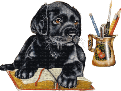 Black Labrador Dog Puppy Chien on Book - Darmowy animowany GIF