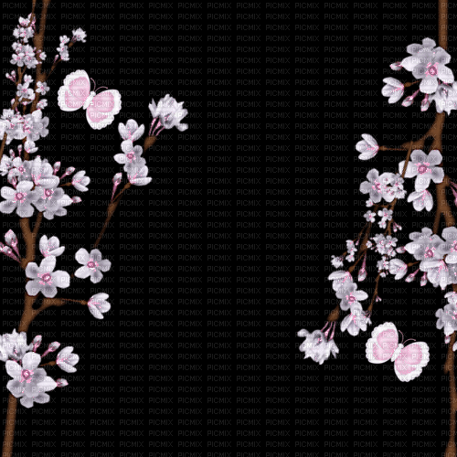 Flores - Zdarma animovaný GIF