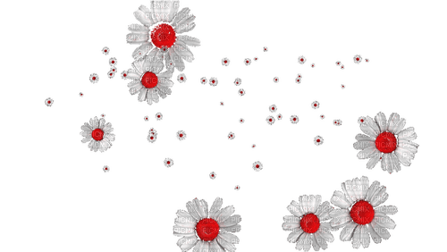 blume flowers red rot - PNG gratuit